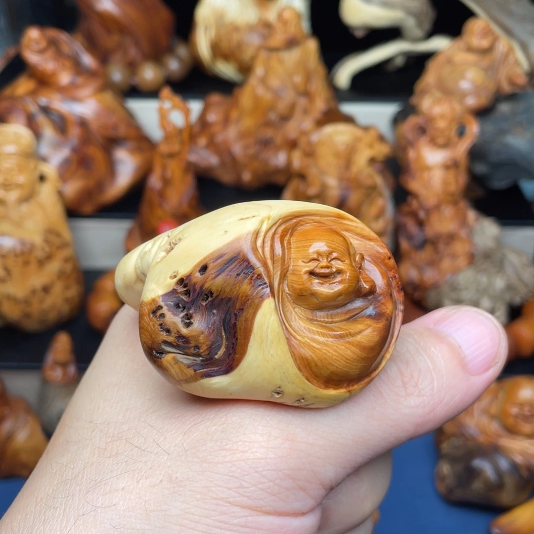 柏木2555322556666666