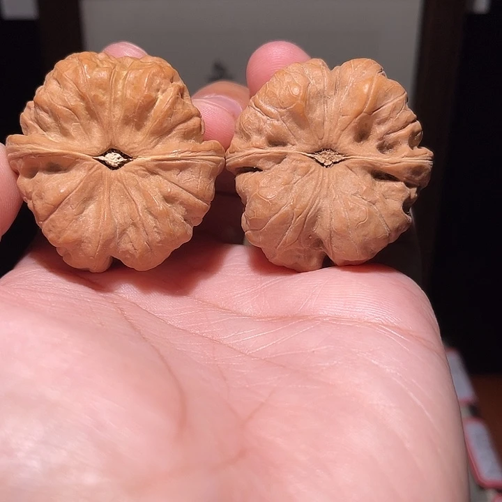 ****尔核桃手串/手链蛤蟆头