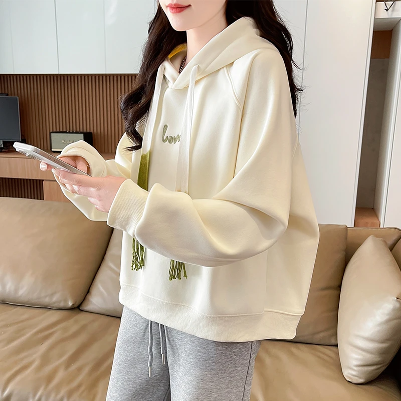 连帽卫衣女2025新款秋冬季韩版宽松加绒加厚个性抽绳百搭简约外套