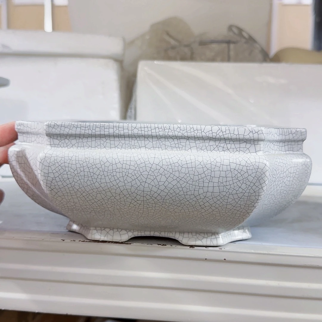 陶瓷花盆特价上新