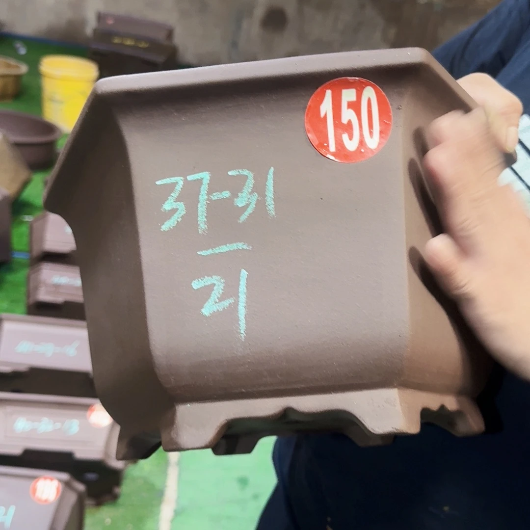 花盆紫砂紫砂花盆