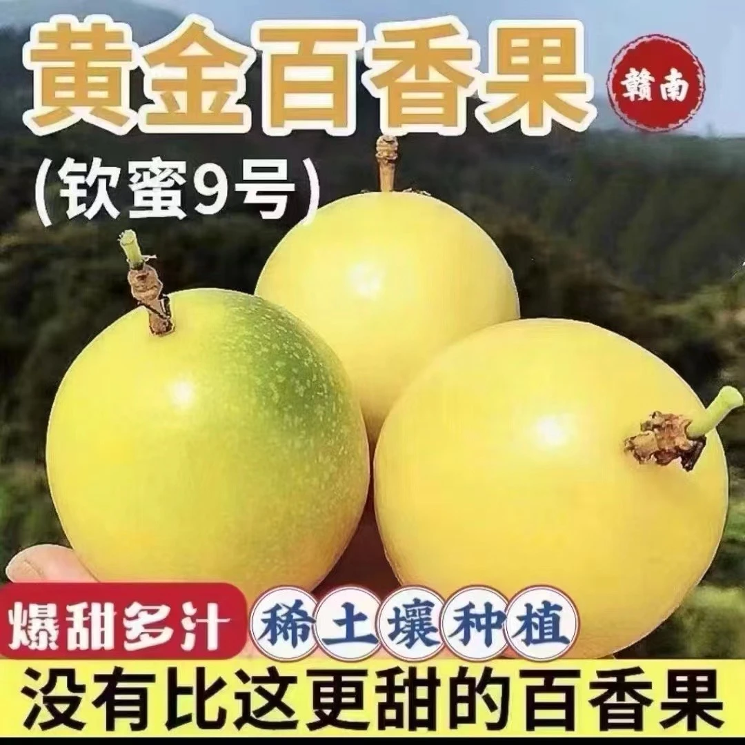 百香果新鲜香甜多汁当季水果