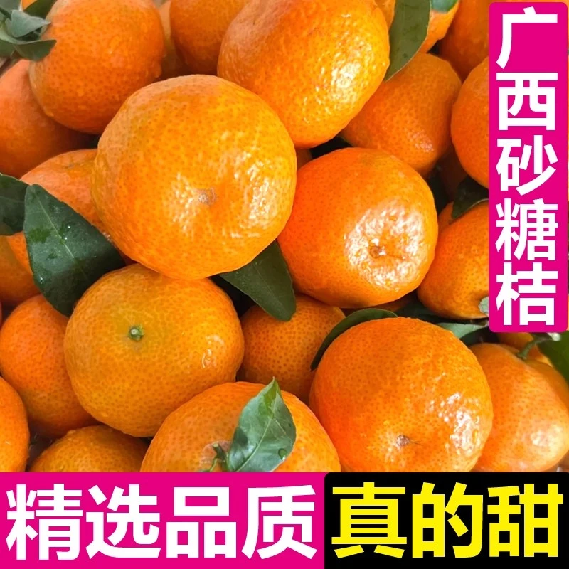 高品质广西沙糖桔新鲜桔子砂糖橘3/5斤应季水果