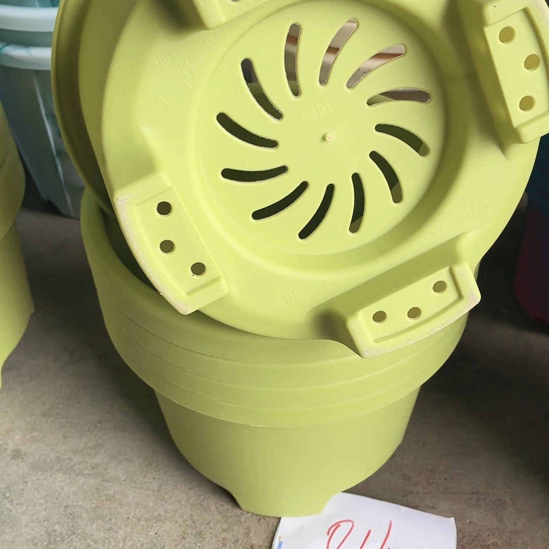 编号是16号016号的