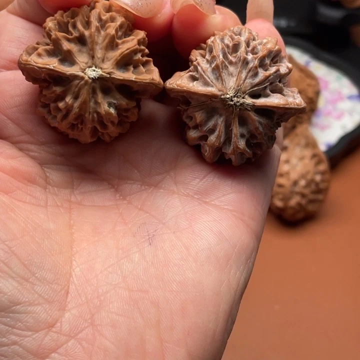 小****桃木秦核的电话是多少了呀你不
