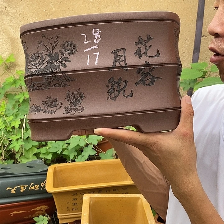 花盆紫砂这样的日子真的很美好很