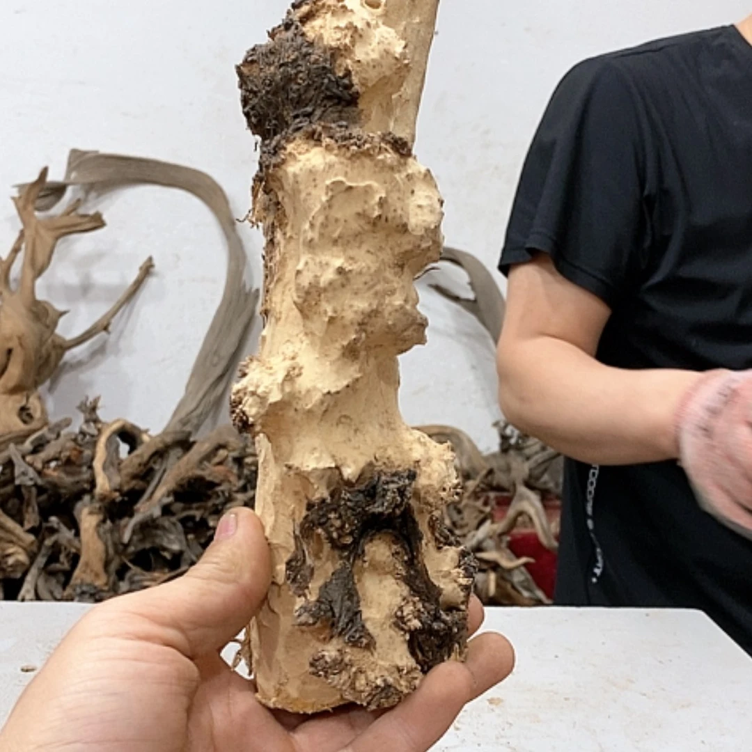 【闪购商品】柏木伊**i我们都是好孩子