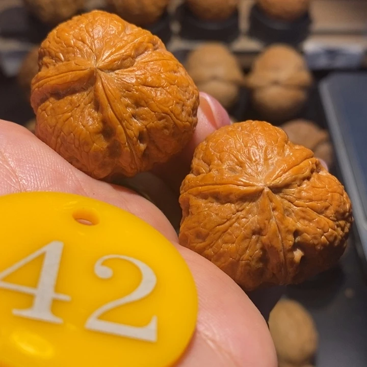 核桃红皮三棱尺寸34