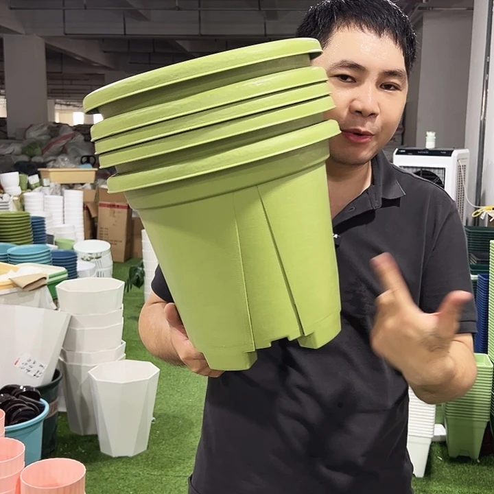 青山口32高28果绿色5个无托