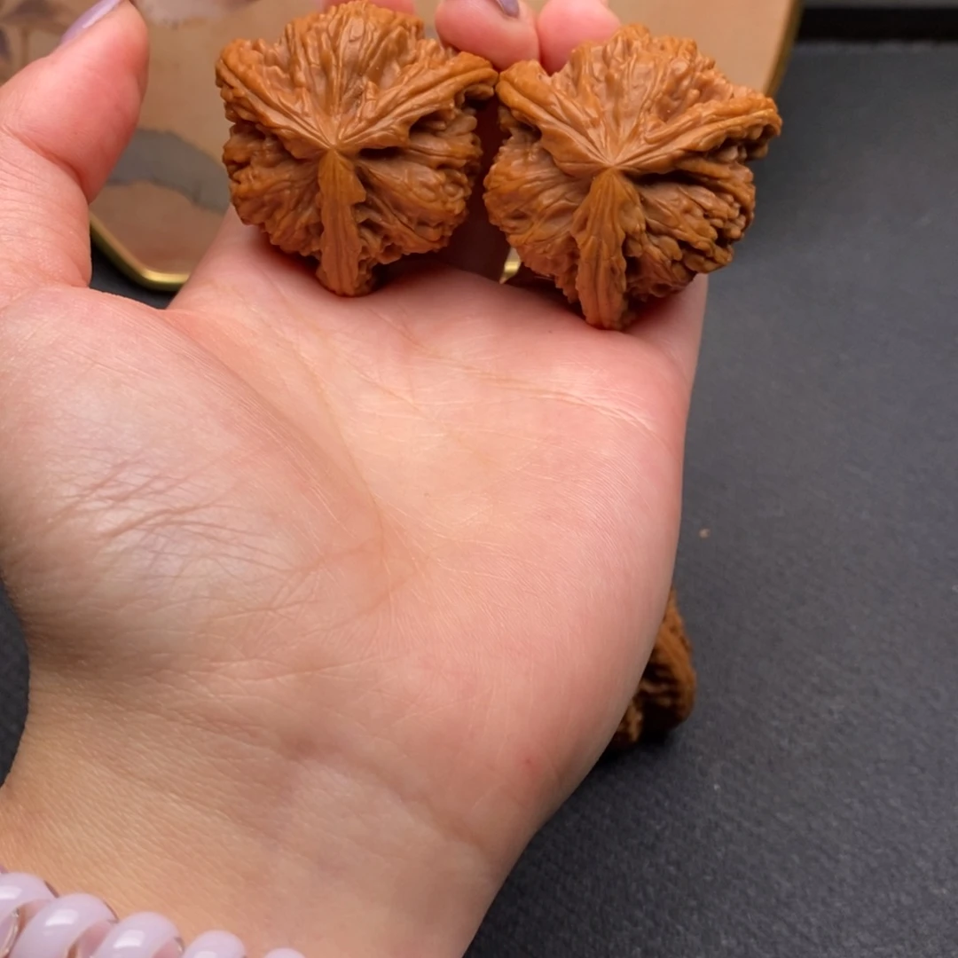 聿****）白狮子1111111111