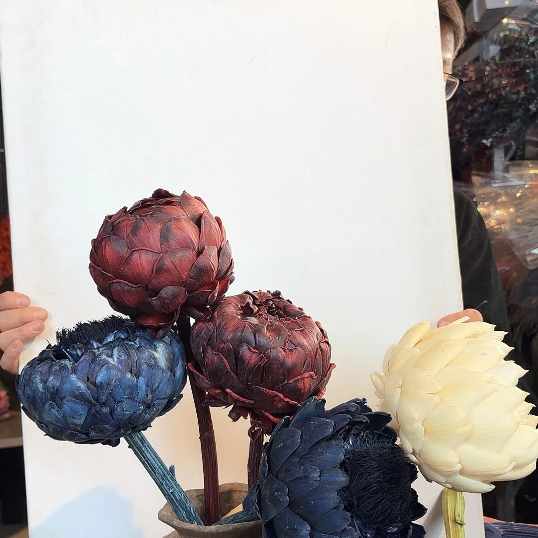 完全开放C53混色洋蓟5枝