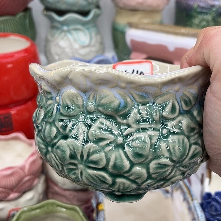 多肉植物陶瓷花盆