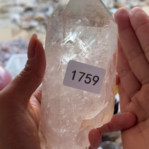 【闪购商品】未镶嵌大型摆件（非配饰）水晶猫****店