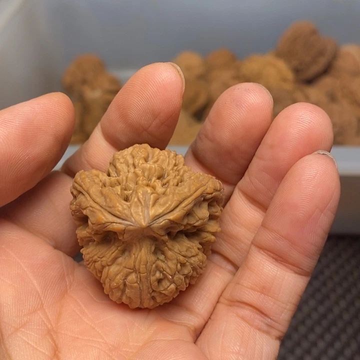 废***墟吊坠文玩核桃文玩核桃异形单只