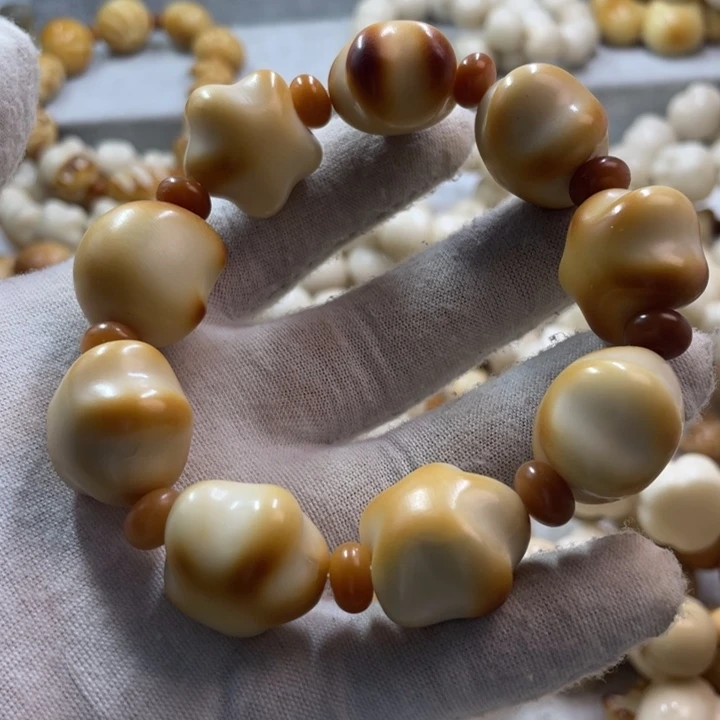 菩提根/象牙果吊坠微瑕象牙果星星手串卡22