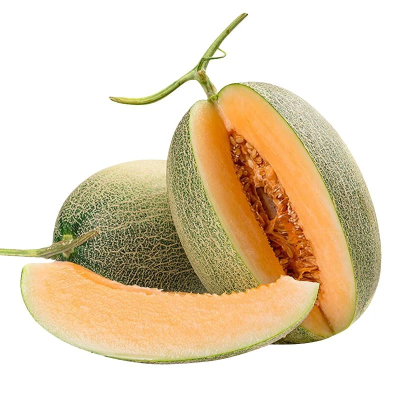 DP哈密瓜（个）