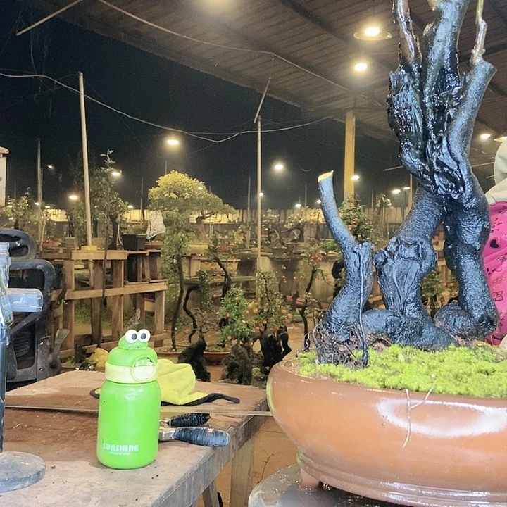 茶****售我也是想着你来了我就不等了