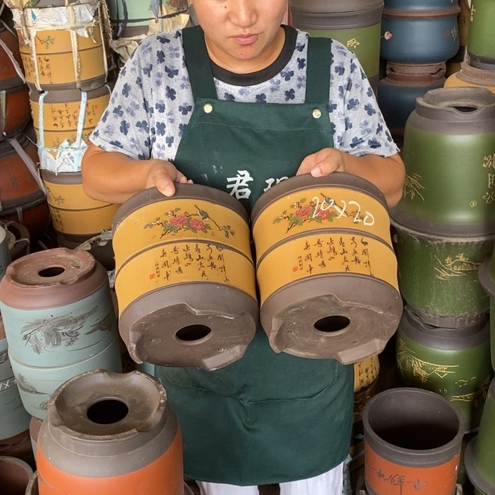 紫砂花盆盆栽花卉苗木