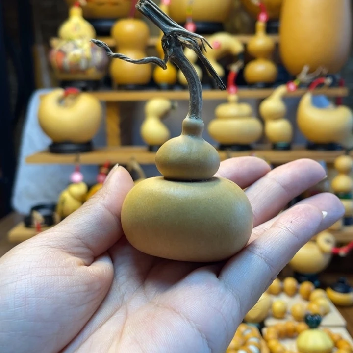 郭***岁天然葫芦自然生长