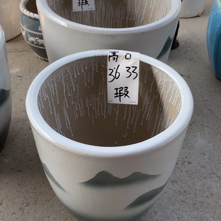 花盆里的小猫咪们都好可爱啊哈哈哈哈哈