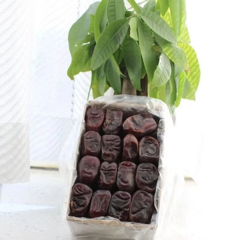 面包椰枣免洗纯天然特产零食香甜可口