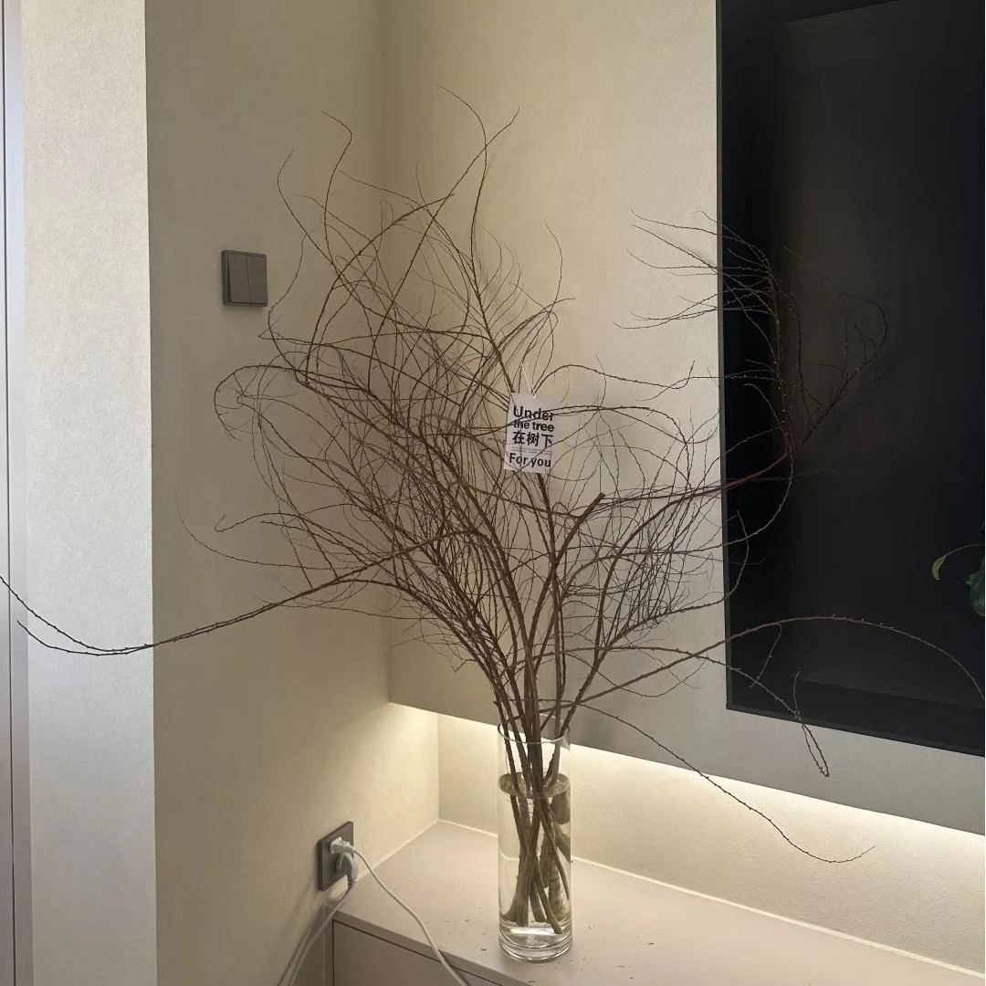 【AB级年宵花干枝雪柳】云南昆明斗南鲜花直发满2单顺丰京东包邮