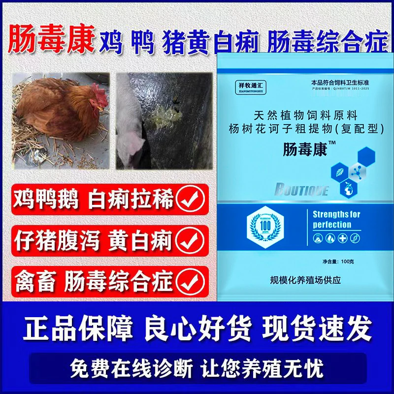 兽用禽用鸡用肠毒康鸡白痢鸡拉稀腹泻猪黄白痢鸭鹅黑便饲料添加剂