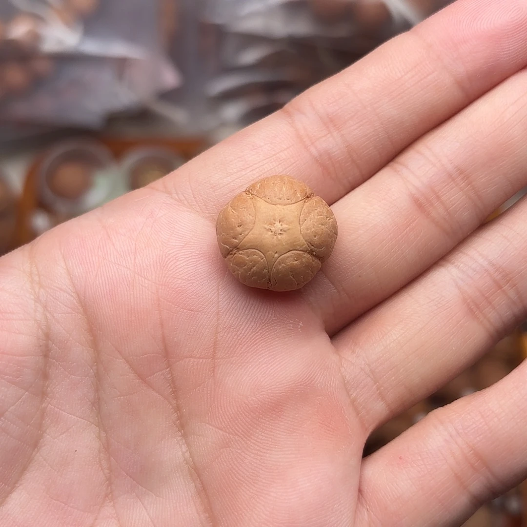 手串凤眼菩提五星三通18.6福利
