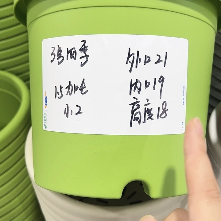 特价3号四季口21高18混色10个无托