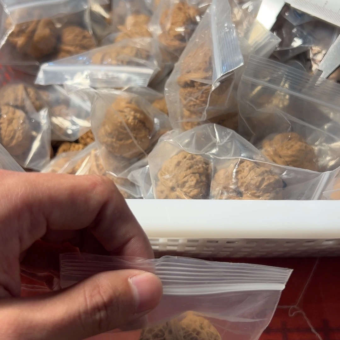 城****吊坠文玩核桃蛤蟆头文玩核桃有黄得修