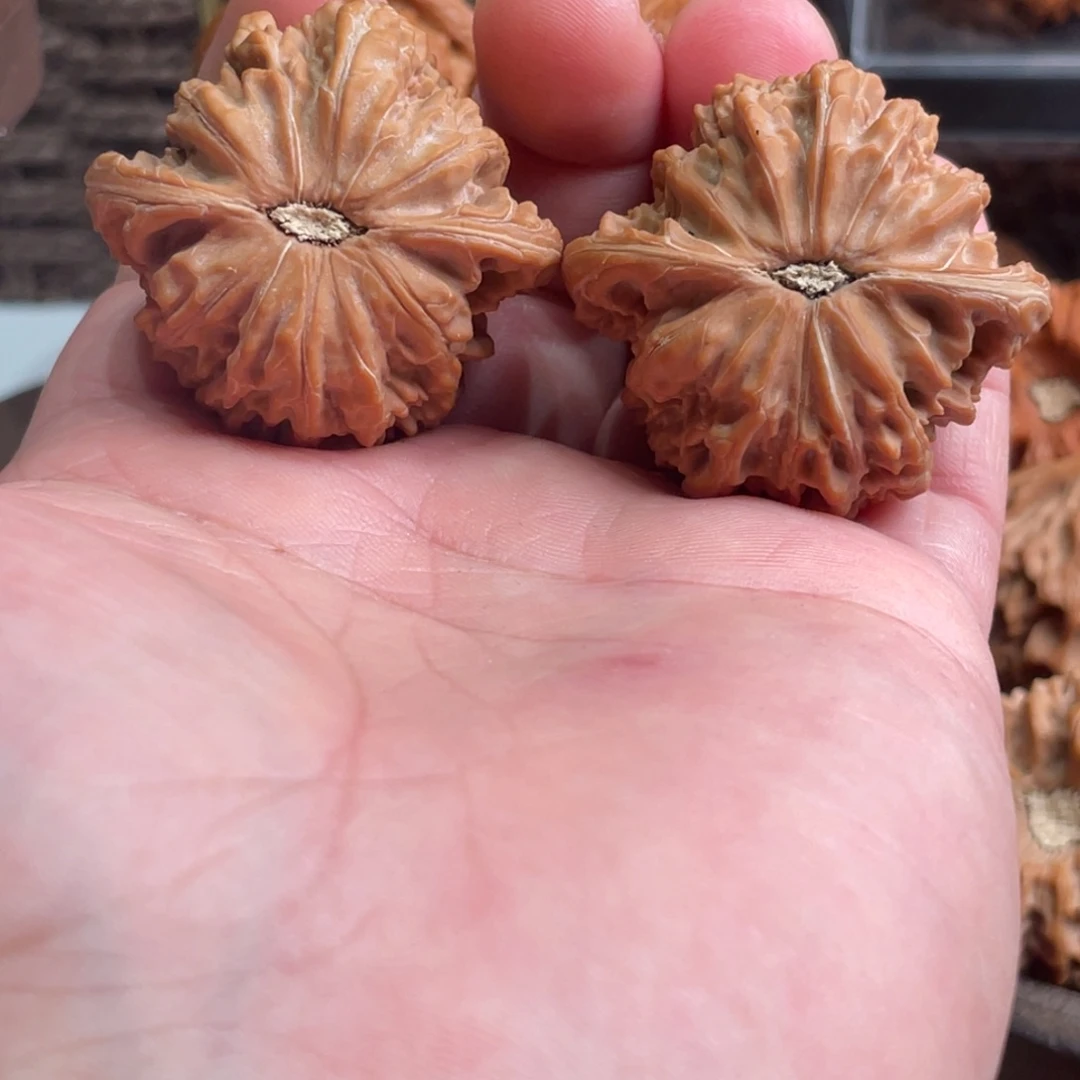 皮***儿把件文玩核桃42磨盘