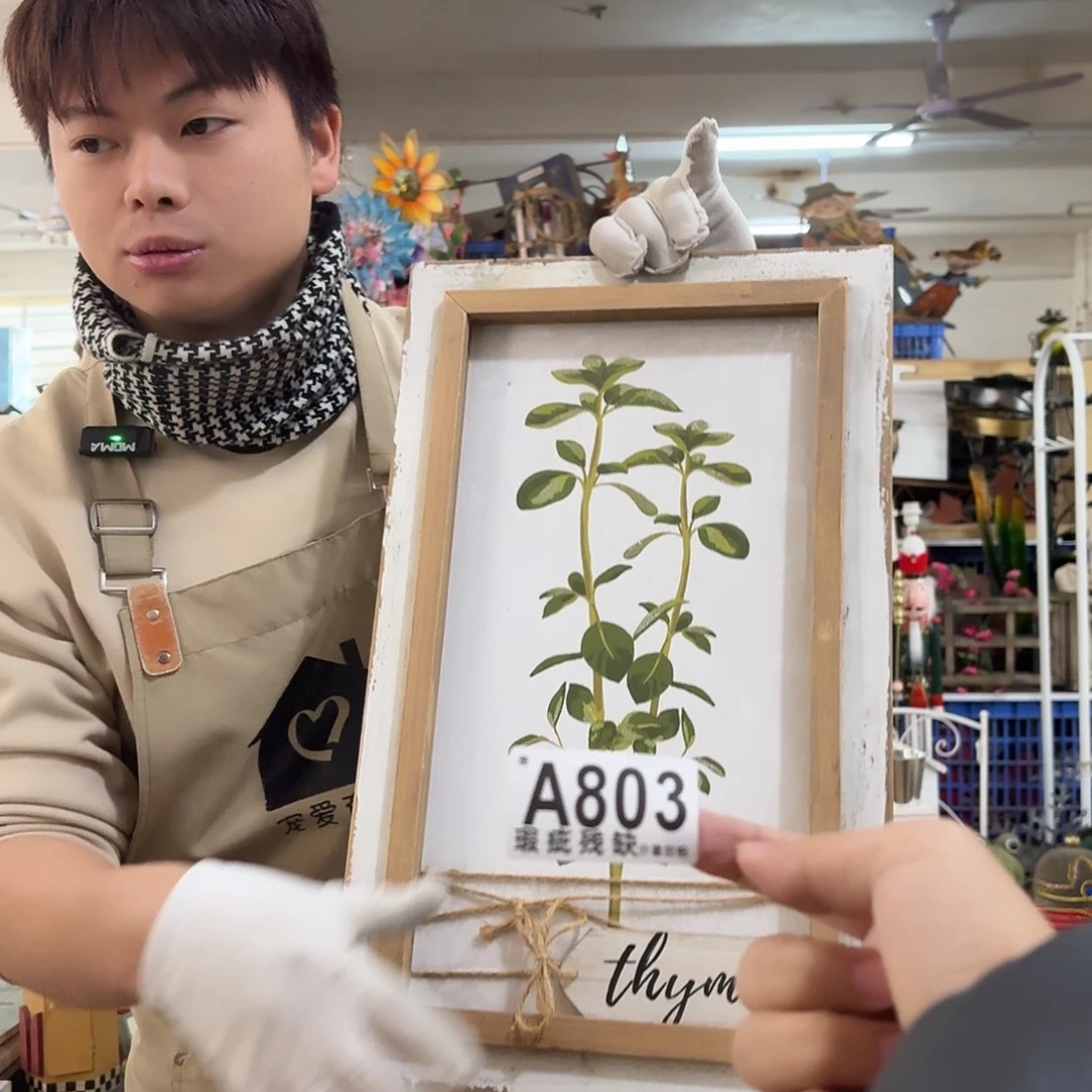 核桃木/黑胡桃（胡桃木）