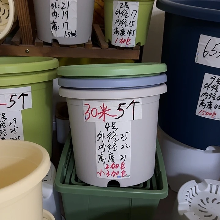 灰白色4号口径25高21无托8个