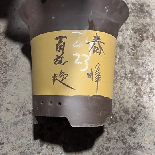 紫砂工艺厂……紫砂工艺厂……