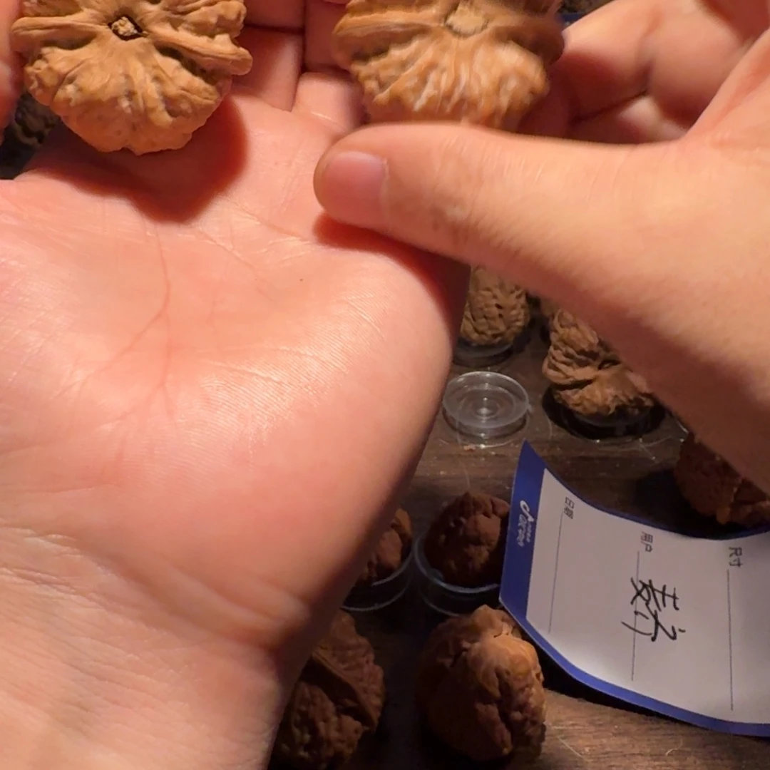 我***子文玩核桃吊坠蛤蟆的眼睛是真的好看啊我的天啊