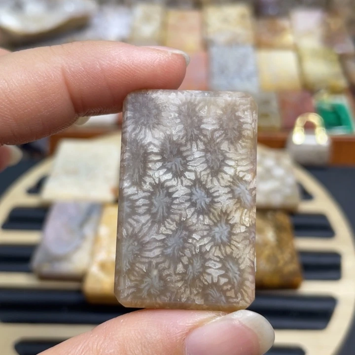 硅化玉未镶嵌颈饰k40