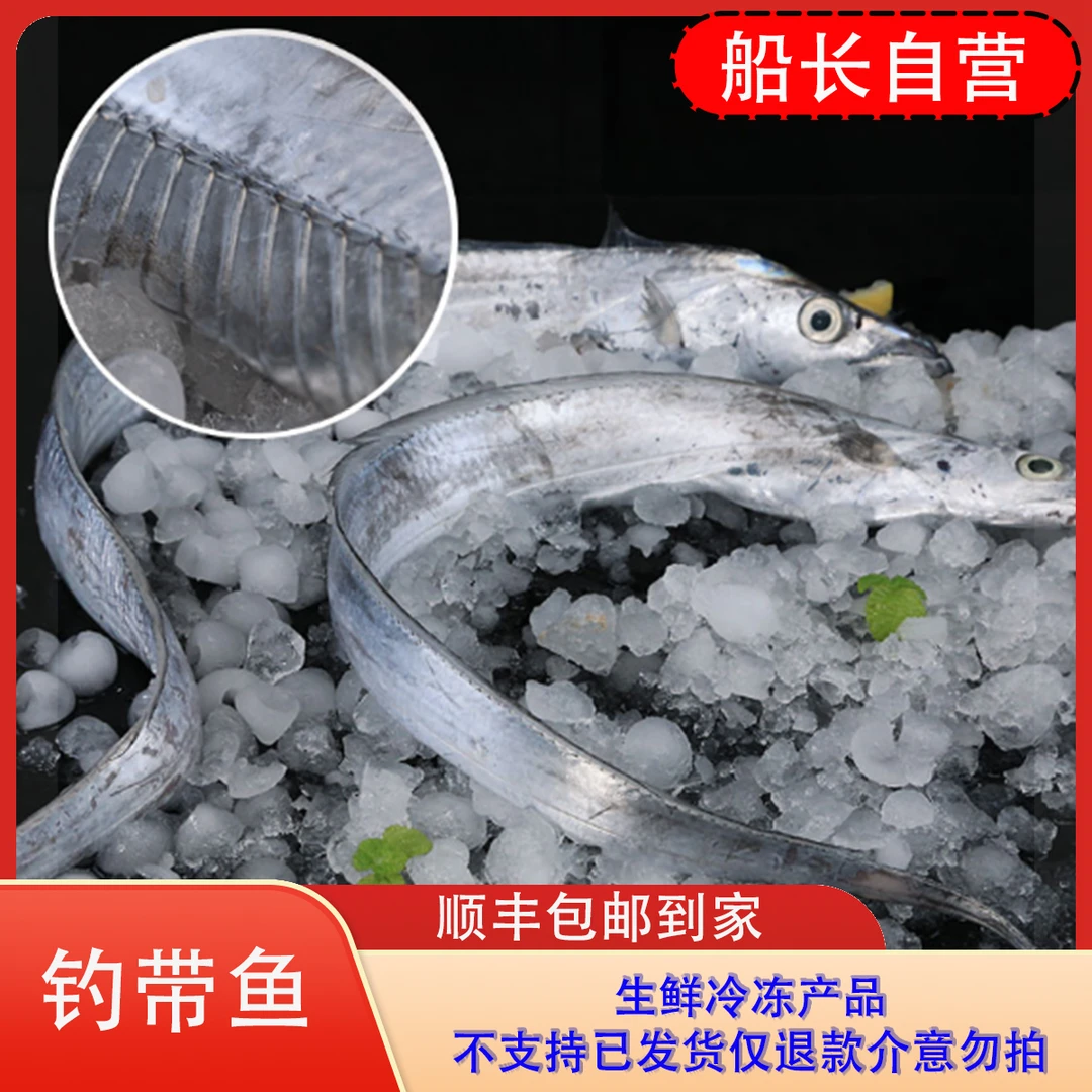 钓带鱼整条新鲜冷冻6两到1斤/条到手4.9斤共6条左右锦州仓发货