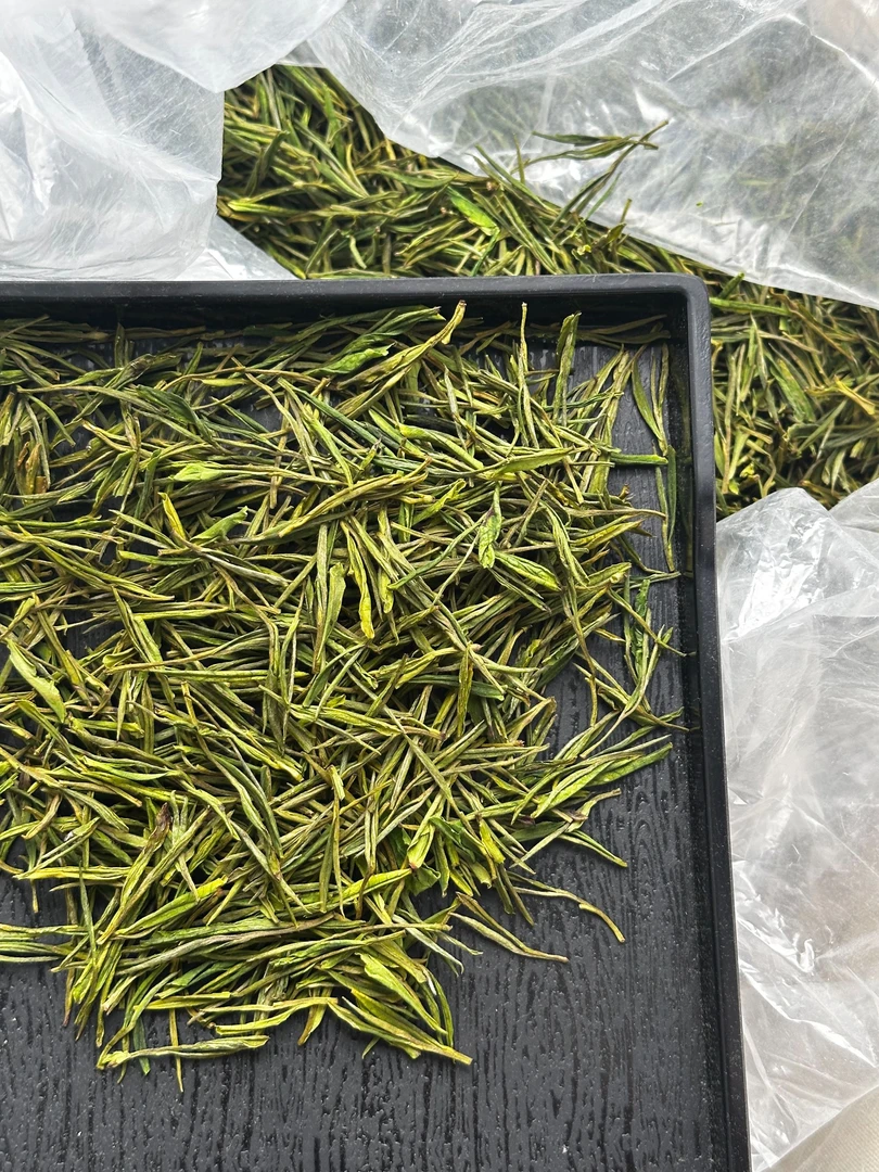 【W1】2025年安吉白茶昆铜里江新茶兰花香