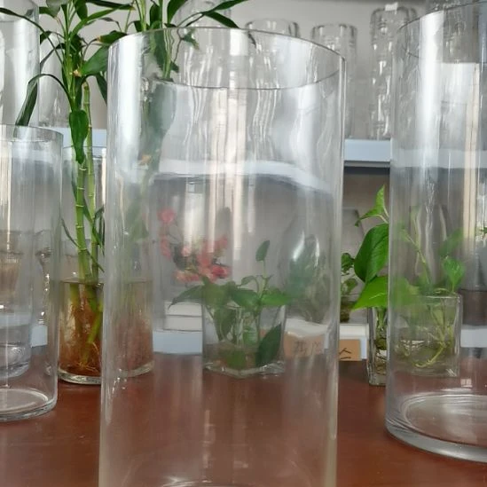 玻璃昌达玻璃直筒高度30口径15