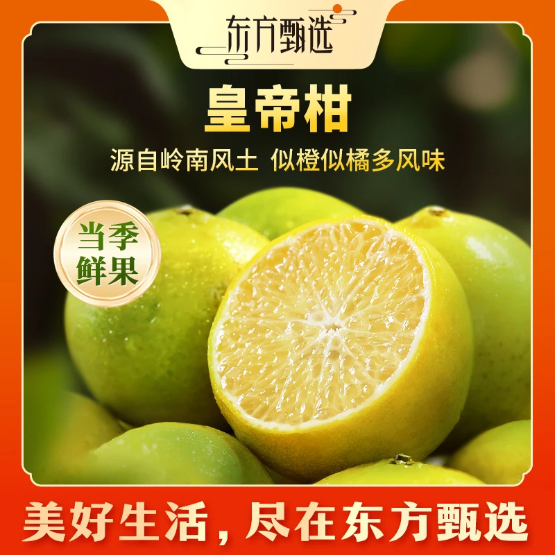 东方甄选自营皇帝柑皮薄酸甜多汁橘子柑橘新鲜应季水果坏果包赔