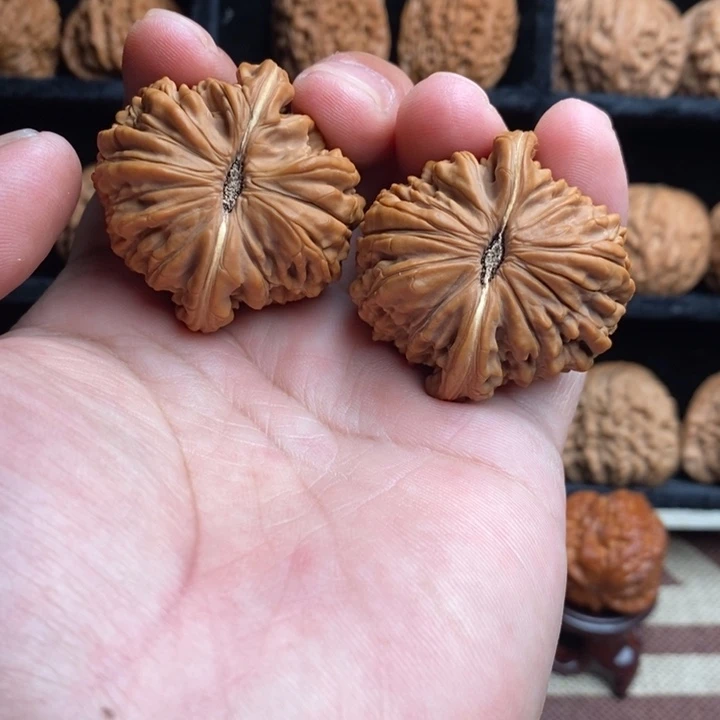 全品四座楼41尺寸