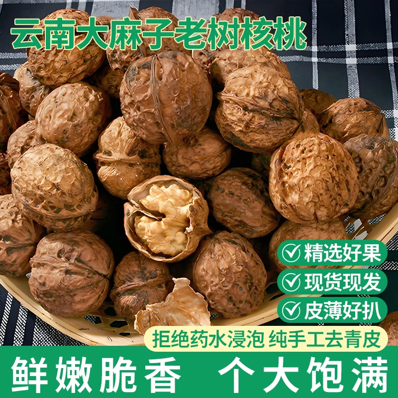 2025年新核桃云南大麻子核桃老树原味核桃营养美味孕妇儿童坚果