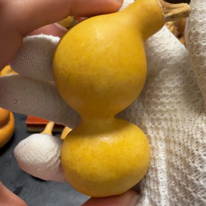 贝***利6…………………………………………