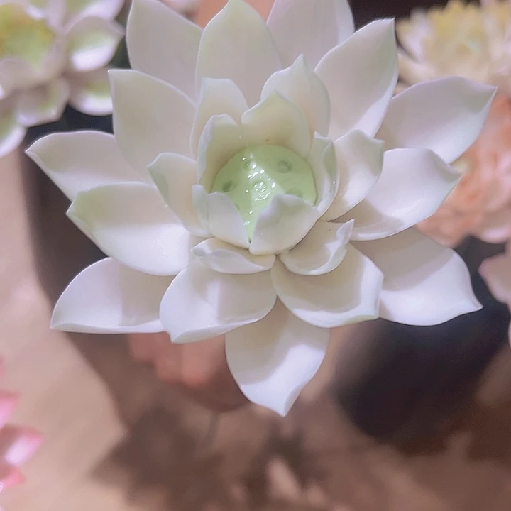 经典大荷花陶瓷等行业的生产和销售