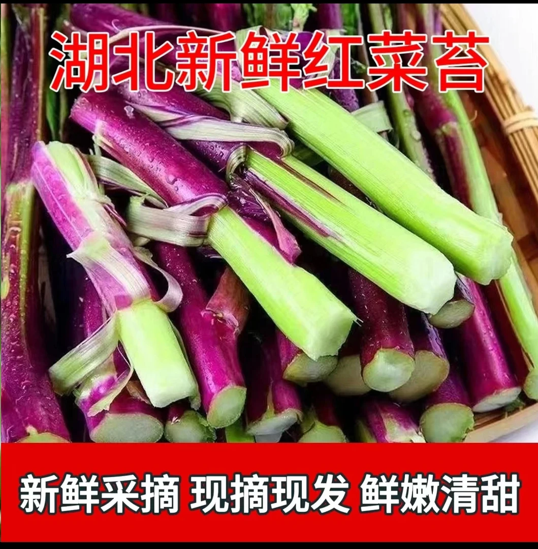 【村里自种】湖北红菜苔农家自种露天紫菜苔菜红子现摘新净重1/5斤