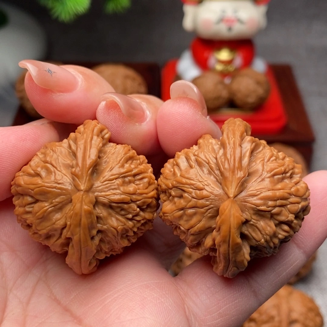 木质类37全品毕业白狮子