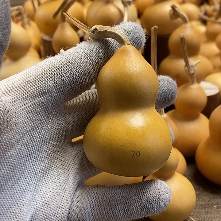 文玩葫芦 完美主义者 慎拍70