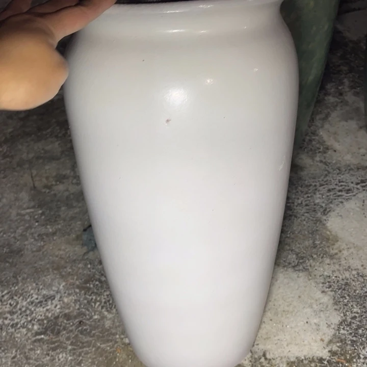 女***王口20高41瑕疵瑕疵