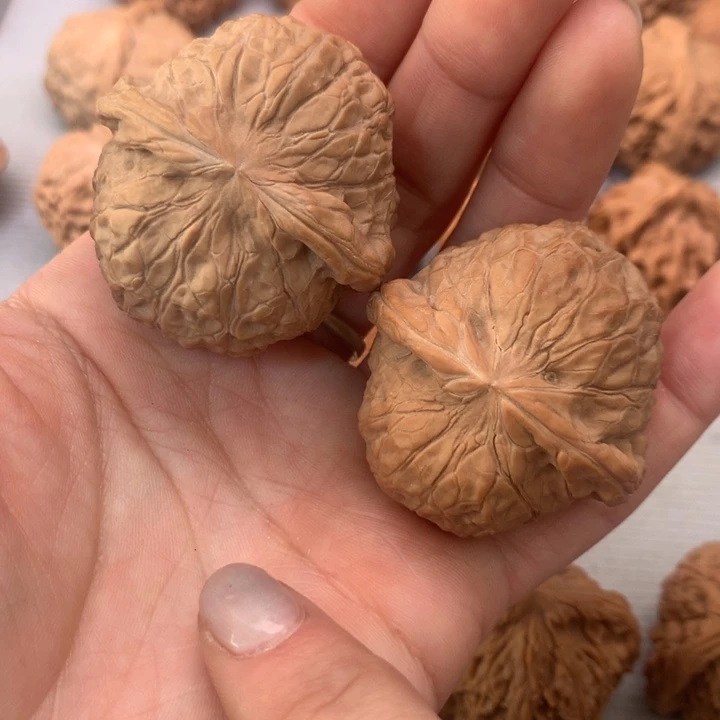 有***生文玩核桃把件南瓜墩40