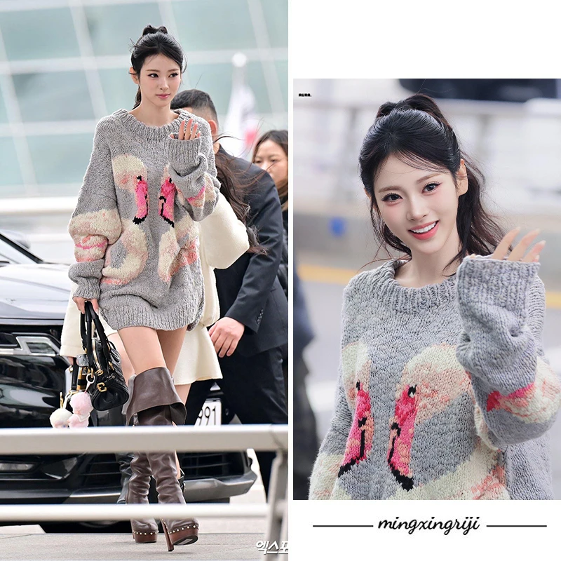 Anna田中杏奈同款灰色天鹅图案毛衣秋冬新款宽松慵懒风针织上衣服